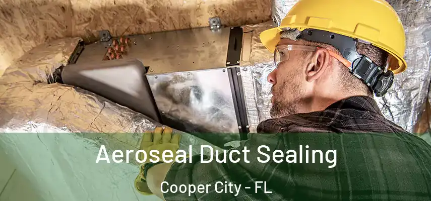 Aeroseal Duct Sealing Cooper City - FL