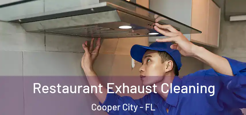  Restaurant Exhaust Cleaning Cooper City - FL